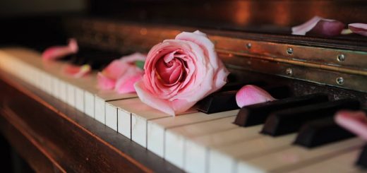 rose pedals on wooden piano
